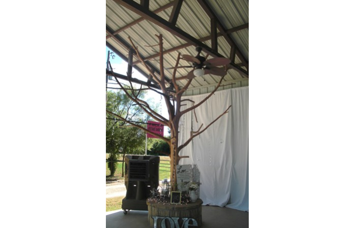 "Tree Brings A Touch of the Outdoors into Pavilion"